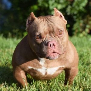 Meet your Posher, Gary